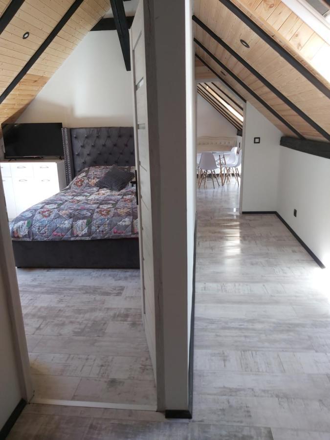 Villa Domek U Szajnosi à Boguslawiec Extérieur photo
